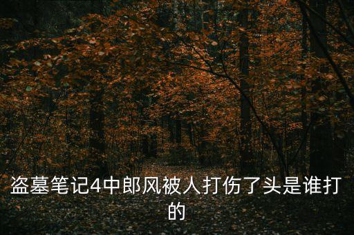 盜墓筆記4中郎風被人打傷了頭是誰打的