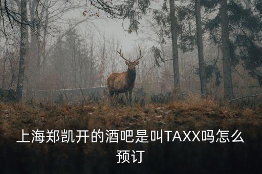 上海鄭凱開的酒吧是叫TAXX嗎怎么預訂