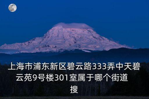上海市浦東新區(qū)碧云路333弄中天碧云苑9號樓301室屬于哪個街道  搜