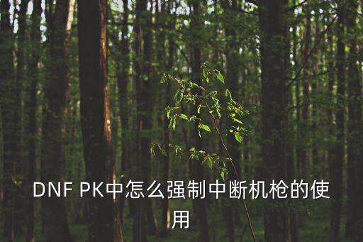 DNF PK中怎么強(qiáng)制中斷機(jī)槍的使用