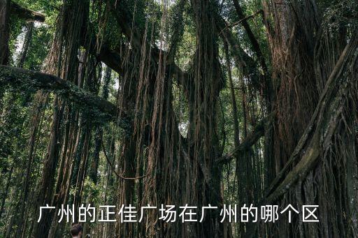 廣州的正佳廣場在廣州的哪個區