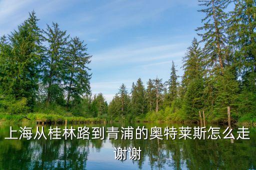 上海市桂林路 奧美，上海的奧美格電梯電纜廠家是在哪里是上海地區的嗎