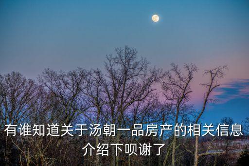上海市樓盤湯臣一品，湯臣一品的介紹