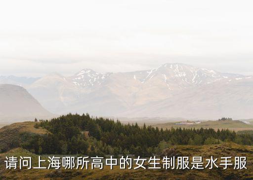 上海市西中學 水手服，上海市市西中學校服怎么樣的