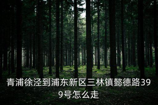 青浦徐涇到浦東新區(qū)三林鎮(zhèn)懿德路399號(hào)怎么走