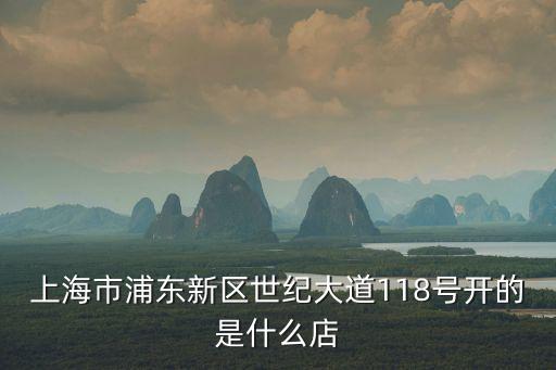上海市浦東新區世紀大道118號開的是什么店
