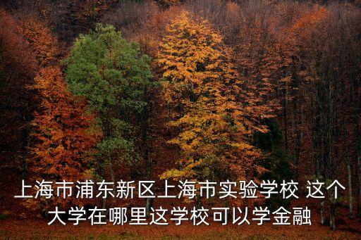 上海市浦東新區上海市實驗學校 這個大學在哪里這學校可以學金融