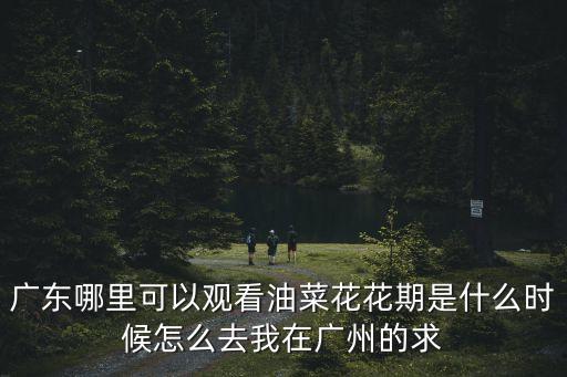 廣東哪里可以觀看油菜花花期是什么時候怎么去我在廣州的求