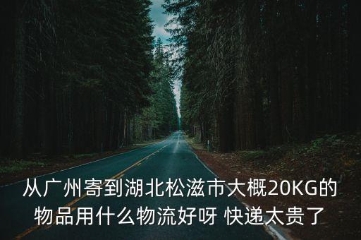 從廣州寄到湖北松滋市大概20KG的物品用什么物流好呀 快遞太貴了