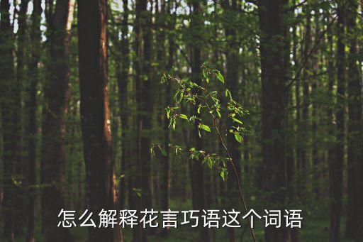 花言巧語(yǔ)，怎么解釋花言巧語(yǔ)這個(gè)詞語(yǔ)