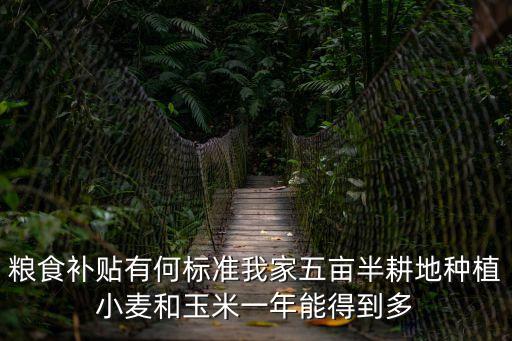 糧食補貼有何標準我家五畝半耕地種植小麥和玉米一年能得到多