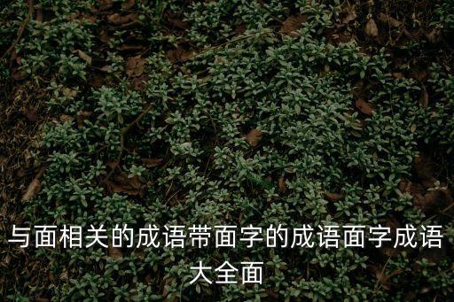 與面相關的成語帶面字的成語面字成語大全面