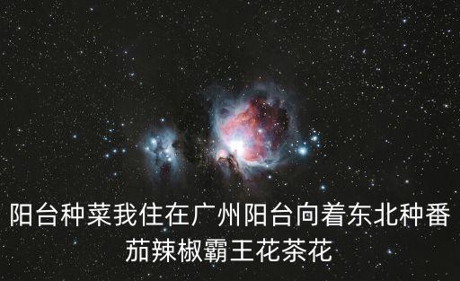 廣州地區(qū)家庭小菜園種植知識(shí)，廣州市全年度每個(gè)季節(jié)可以種哪些蔬菜