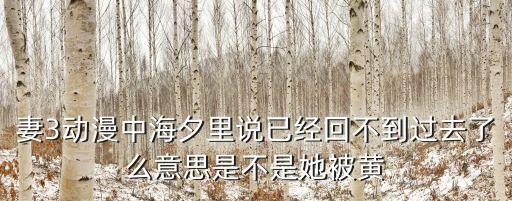 妻3動漫中海夕里說已經回不到過去了么意思是不是她被黃