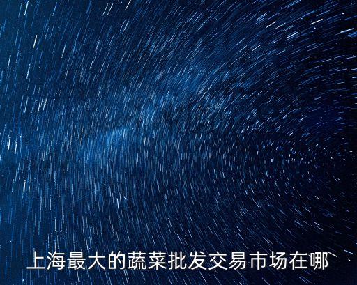 上海最大的蔬菜批發(fā)交易市場(chǎng)在哪