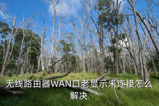 無線路由器WAN口老顯示未連接怎么解決