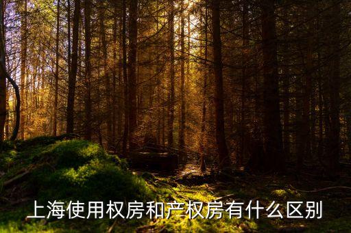 上海市使用權(quán)住房，我在上海要買一套使用權(quán)房可以用公積金嗎