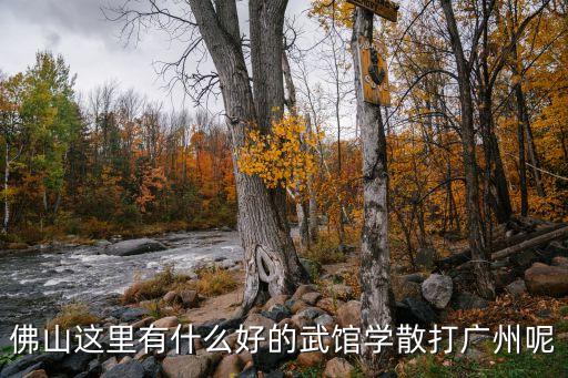 廣州散打美女助理，佛山這里有什么好的武館學散打廣州呢