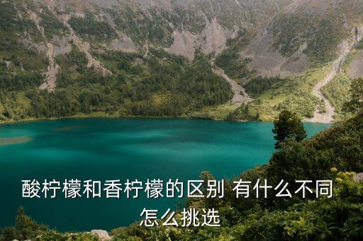 香檸檬，香檸子是檸檬嗎