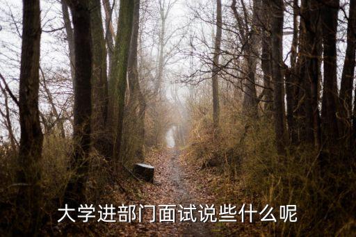 大學部門面試問題，大學學生會一般面試的問題