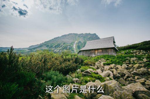 舍得圖片，何為舍得之道