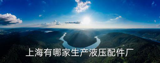 上海市崇明液壓件廠，上海有哪家生產液壓配件廠