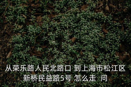 從榮樂路人民北路口 到上海市松江區新橋民益路5號 怎么走  問