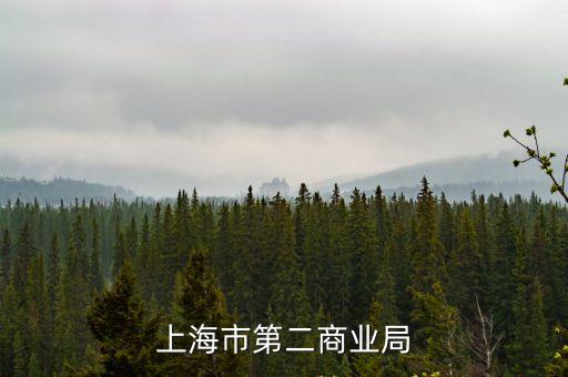 上海市商委歷任領導，上海華夏學院現(xiàn)任校長是誰