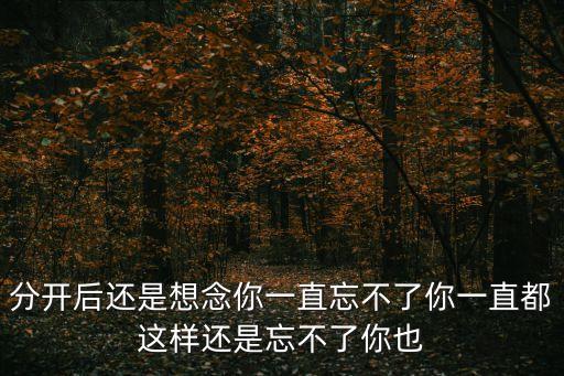 分開后還是想念你一直忘不了你一直都這樣還是忘不了你也