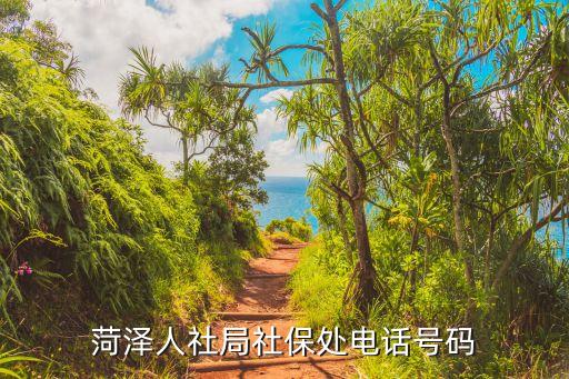 菏澤社保，菏澤社保局在哪