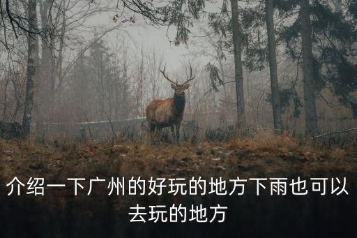 介紹一下廣州的好玩的地方下雨也可以去玩的地方