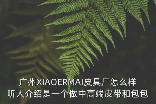 廣州XIAOERMAI皮具廠怎么樣聽人介紹是一個做中高端皮帶和包包