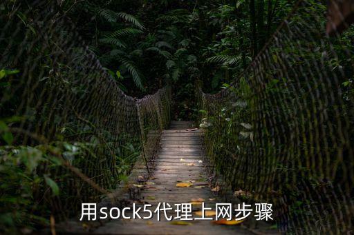 用sock5代理上網步驟