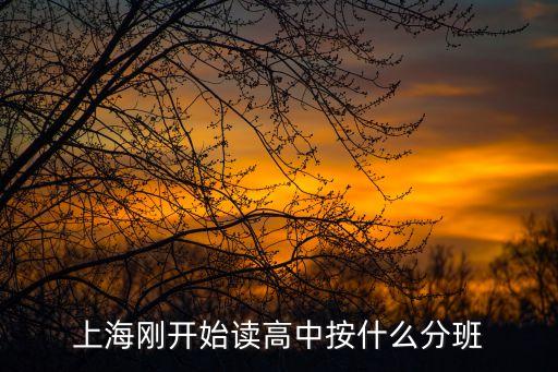 上海市鐵嶺中學(xué)分班，上海 鐵嶺中學(xué)怎么樣