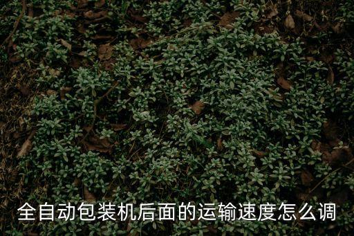 全自動包裝機后面的運輸速度怎么調