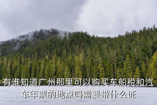 有誰知道廣州那里可以購買車船稅和汽車年票的地點嗎需要帶什么證