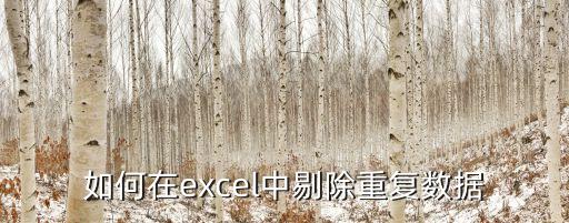 如何在excel中剔除重復數據