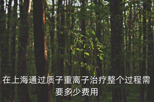 在上海通過質子重離子治療整個過程需要多少費用