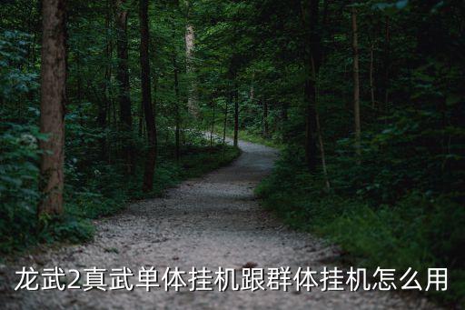 龍武2，龍武2新版本中如果生了寶寶除了打怪升級還有別的玩法嗎
