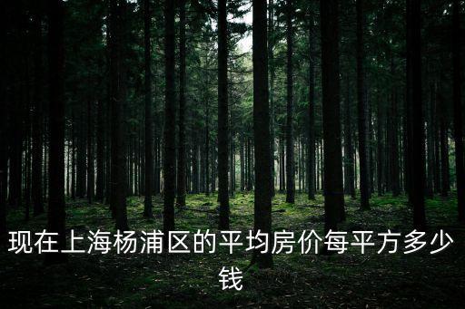 上海市楊浦區虬江碼頭二手房，現在楊浦區二手房房價是多少
