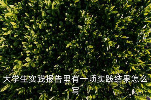 大學(xué)生實踐報告里有一項實踐結(jié)果怎么寫