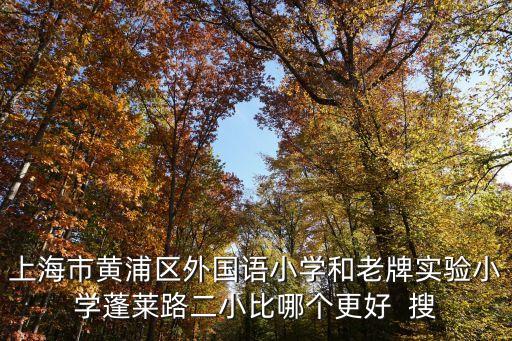 上海市黃浦二小，求助上海市黃浦區重點小學排名及升學情況急