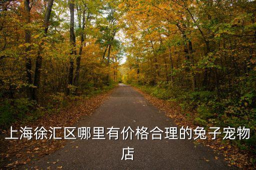 上海市兔子，上海徐匯區哪里有價格合理的兔子寵物店