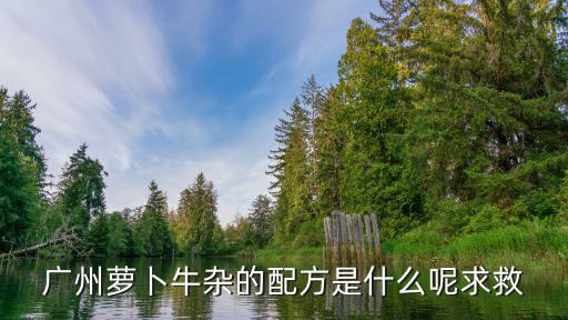 廣州藥膳牛雜商用秘方，廣州蘿卜牛雜的配方是什么呢求救