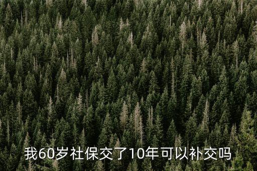 我60歲社保交了10年可以補(bǔ)交嗎