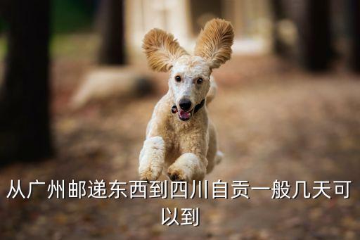 廣州到自貢物流可以直接到嗎，從廣州到自貢東西可以走物流嗎