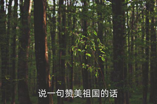 歌頌祖國的句子，說一句贊美祖國的話