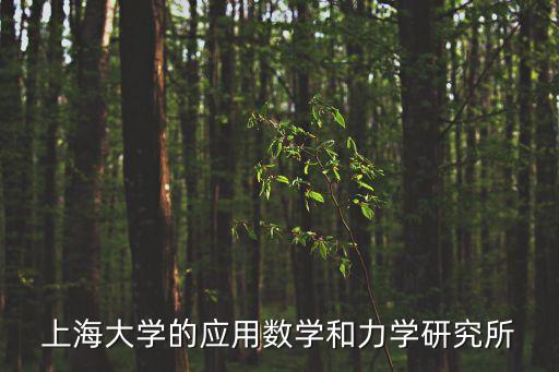 上海大學的應用數學和力學研究所