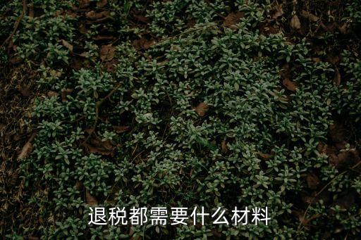 退稅都需要什么材料