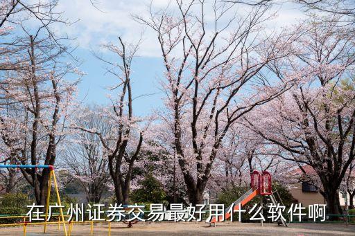 廣州粵泰證券交易軟件，在廣州證券交易最好用什么軟件啊